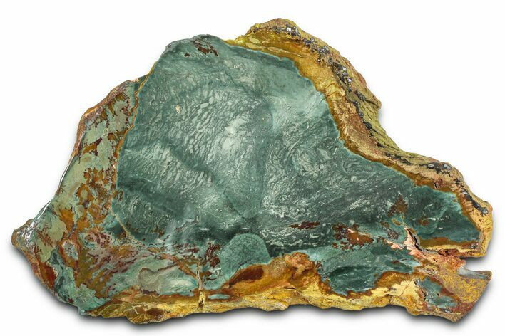 Gary Green Jasper (Larsonite) Bog Wood Slab - Oregon #377932